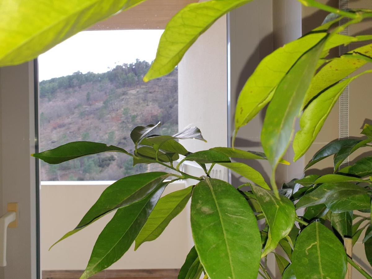 Altavista Penthouse T2 Apartment Covilha Bagian luar foto